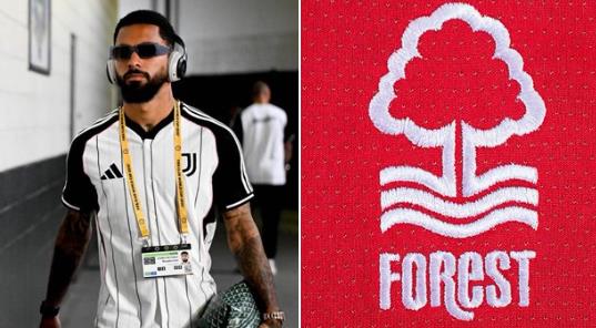 Douglas Lewis sẽ vào rừng để kiểm tra sức khỏe ngày hôm nay!