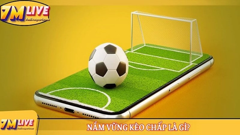 Kèo chấp là gì? Cách tính tiền thắng kèo chấp chính xác 7 Nắm vững kèo chấp là gì